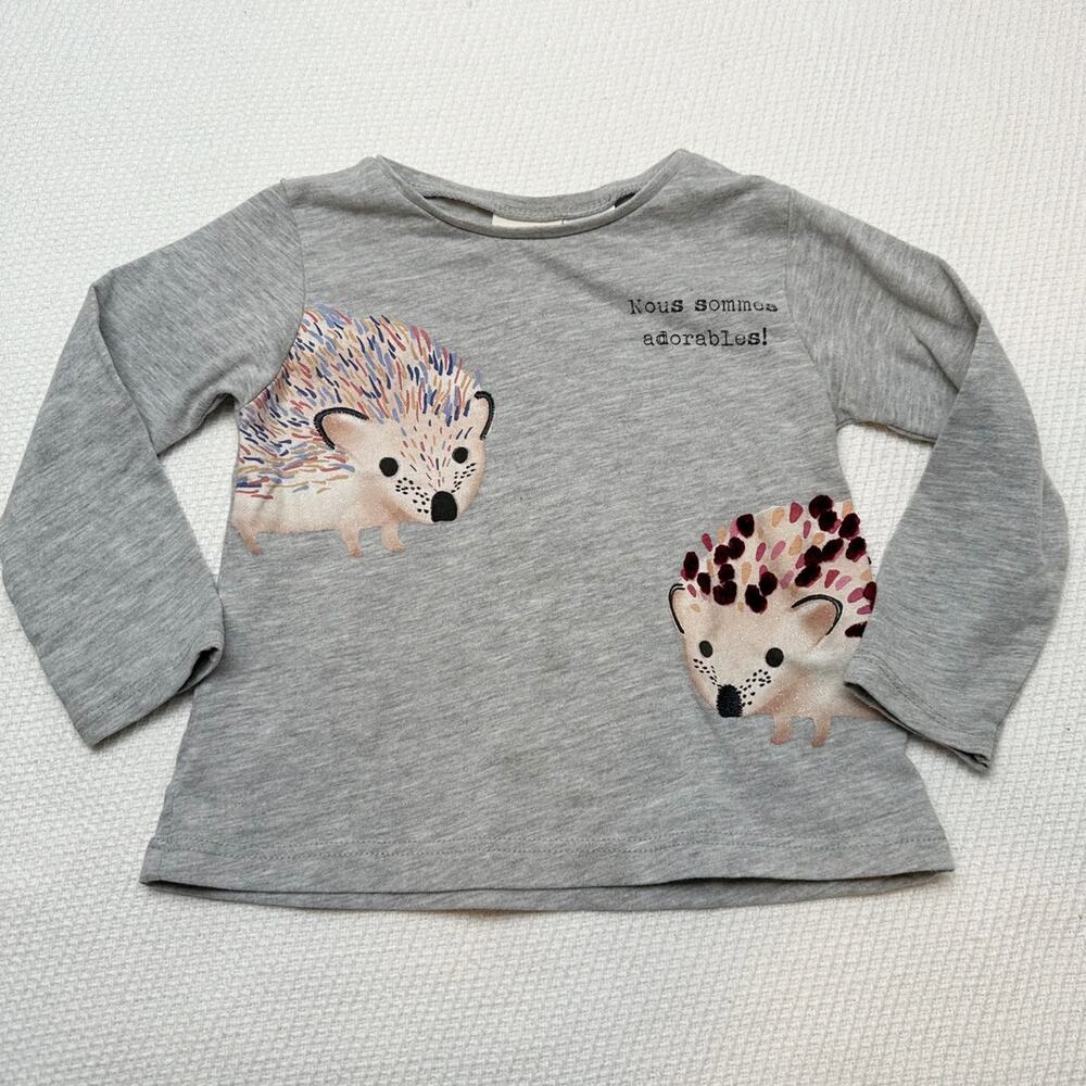 Zara Baby Hedgehog Too
